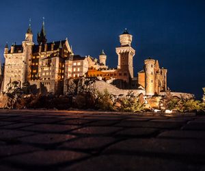 Szok w Neuschwanstein. Zamknęła psa w szafce