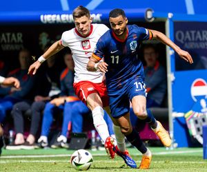 Cody Gakpo - gwiazda Holandii