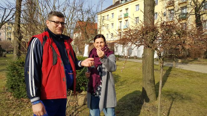 Natura budzi się do życia! W Ogrodzie Botanicznym UKW czuć już wiosnę! [ZDJĘCIA]