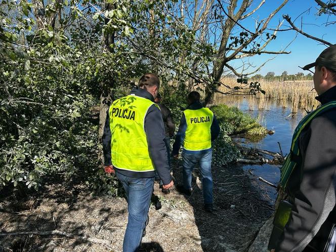 Mężczyźni zabili ok. 300 piskląt! Są już w rękach policji