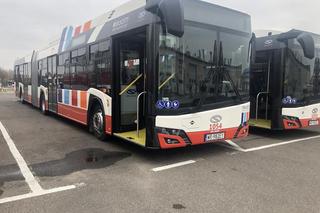 Skrócone kursy w Wigilię. Tak będzie wyglądał świąteczny rozkład jazdy autobusów. 