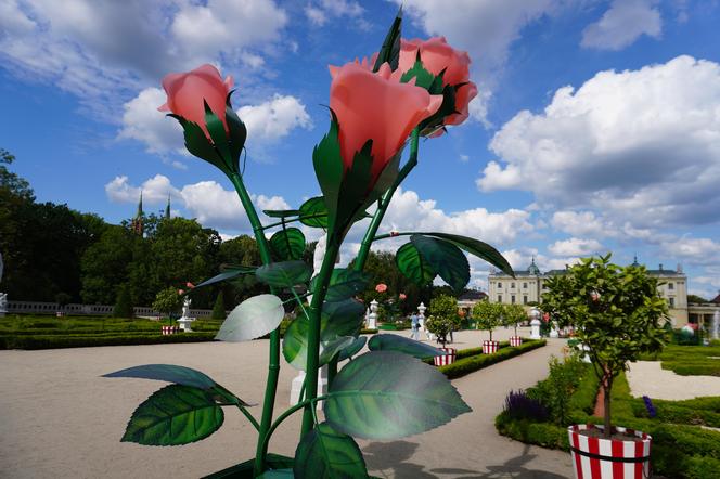 Nowa instalacja artystyczna przy Pałacu Branikich w Białymstoku