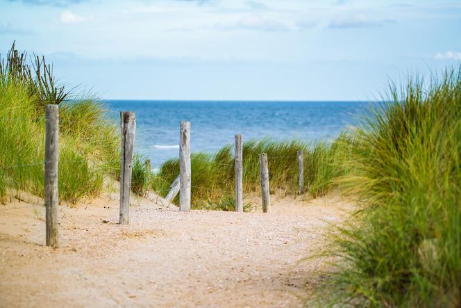 W tym roku gdańskie plaże były najchętniej odwiedzanym miejscem w wakacje