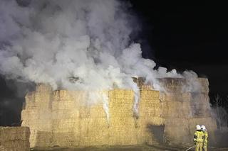 Ogromy pożar we Fromborku. Płonęło kilkaset sztuk kostek słomy [ZDJĘCIA]