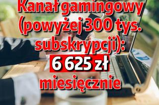 Ile zarabiają polscy youtuberzy?