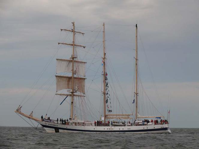 ParadaZagleGdyni2014_FotMZwierz_710392