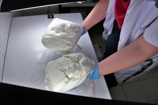 Jaguarem uciekał przed policją.