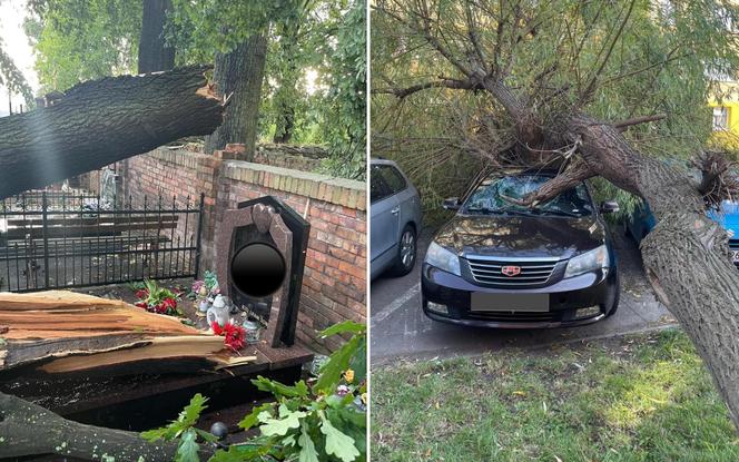 Powalone drzewa zniszczyły cmentarz i miażdżyły samochody