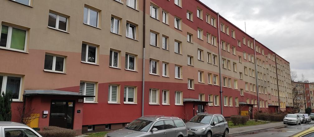 Tragedia w Mistrzejowicach: Michał zabił kuzyna podczas grania na komputerze