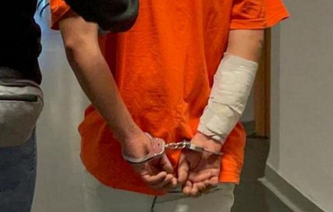 28-latek odkręcił gaz i zabił dwa psy. Jego była partnerka ledwo uszła z życiem!