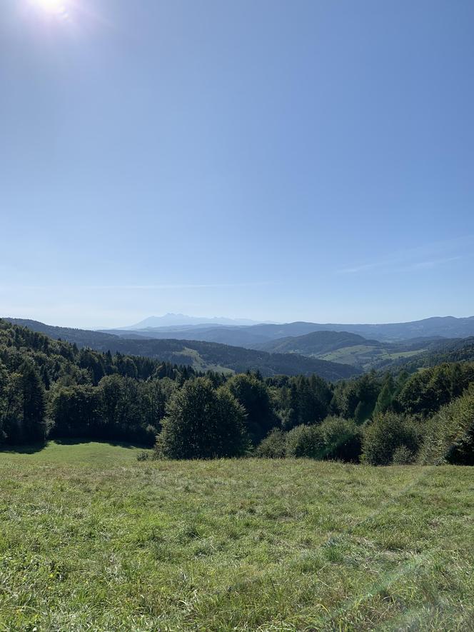 Bacówka Nad Wierchomlą w Beskidzie Sądeckim. To prawdziwy turystyczny hit!