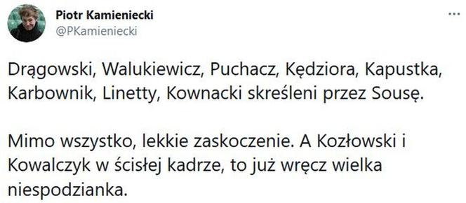 Reakcja internautów na powołania Sousy