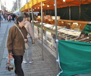 Festiwal Czekolady i Słodkości w Kielcach. Jest dużo atrakcji