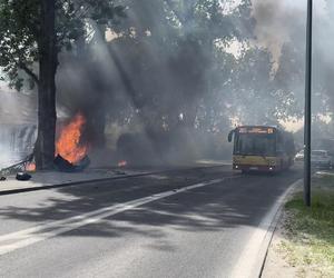 Auto uderzyło w drzewo i stanęło w płomieniach. Spłonęły trzy osoby!