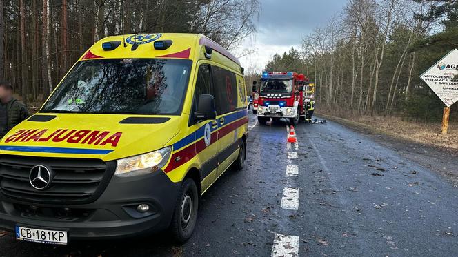 Wypadek na DK 10 w Solcu Kujawskim! Osobówka wypadła z drogi i uderzyła w drzewo [ZDJĘCIA]