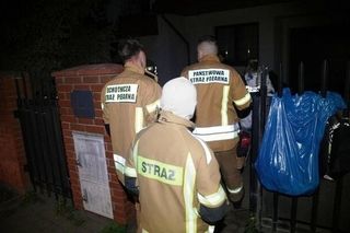 Właścicielka urządziła zwierzętom prawdziwy horror. W takich warunkach ich trzymała. Niektóry były żywcem zjadane przez robaki