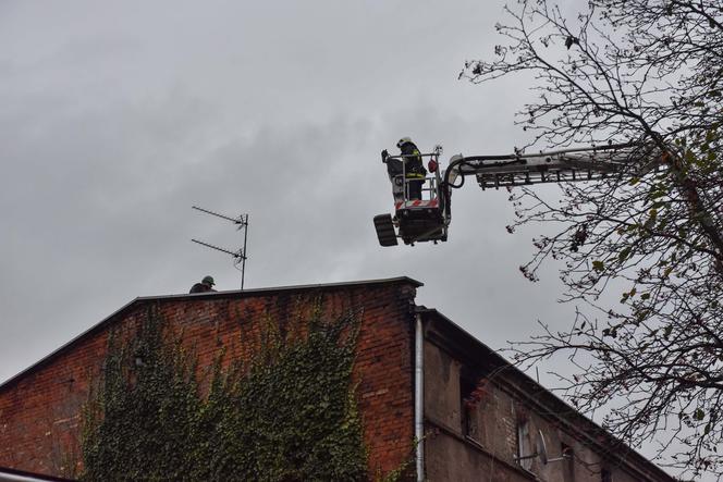 Przytulałam dzieci Moniki. 5 minut później ginęły w płomieniach