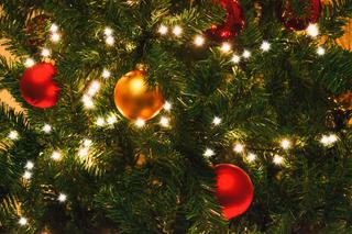 Kraków: Niecodzienna metoda na ubranie świątecznego drzewka