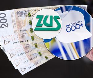 ZUS zabierze emerytury i 800 plus? Sprawdź!