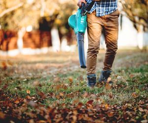 Seniorze, chwytaj za grabie. Zanim w kalendarzu wybije 1 grudnia zrób to, a nie pożałujesz