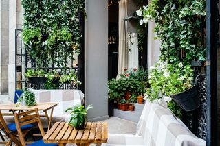 Balkon na parterze - zielone osłony