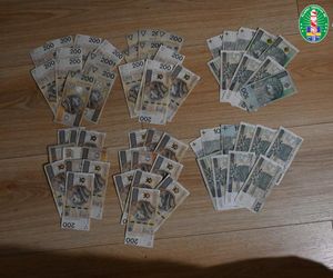 Narkotykowy gang ze Śląska