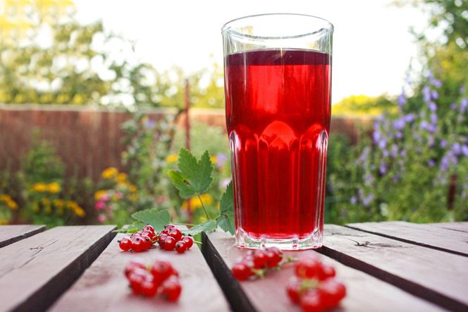 Kompot z czerwonych porzeczek jak u cioci Jadzi – smak dzieciństwa w szklance