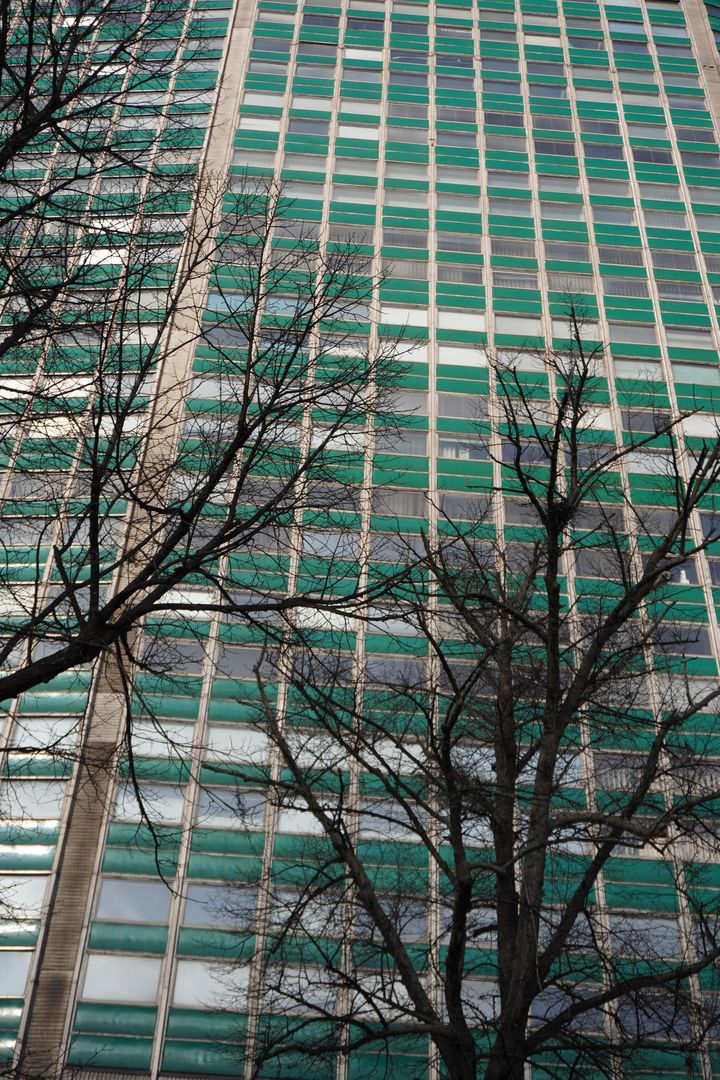 Zieleniak w Gdańsku