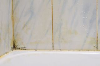 Mega dobry trik na pleśń na fugach silikonowych. Domowy, a działa lepiej niż chemia. Pleśń i grzyb zniknie w kilka minut