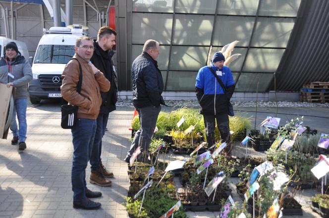 Agrotech 2023. Duży wybór roślin, kwiatów i krzewów do ogrodu