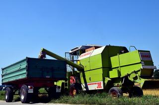 Koniec embargo UE na import zbóż z Ukrainy. Polska wprowadzi własne ograniczenia? 