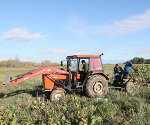 Rolnicy Podlasie. Andrzej z Plutycz oraz jego gospodarstwo