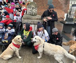 WOŚP 2024 w Krakowie. Grupa Golden Retriever opanowała cały Rynek Główny!