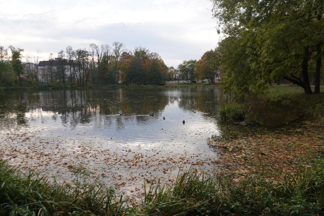 Park Lubomirskich w Białymstoku jesienią 