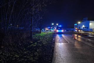 Audi dachowało i wpadło w komis samochodowy. Kto siedział za kierownicą?