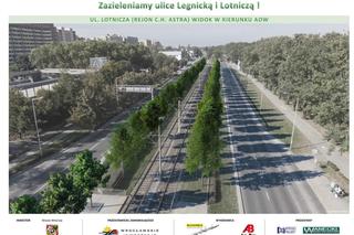 Kilkaset drzew podadzą na Legnickiej i Lotniczej