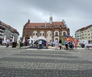 WOLIN Z RYBĄ NA TALERZU - KAMIEŃ POMORSKI - GALERIA