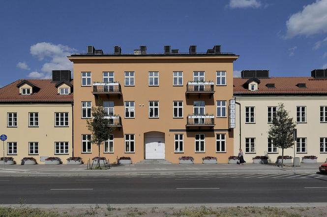 Wystawa obrazów szympansicy