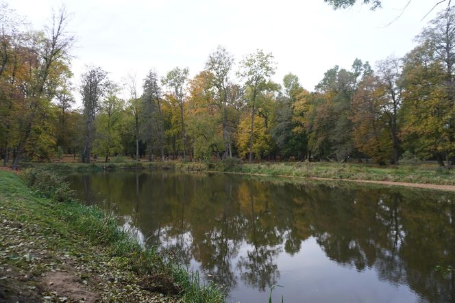 Park Lubomirskich w Białymstoku jesienią 