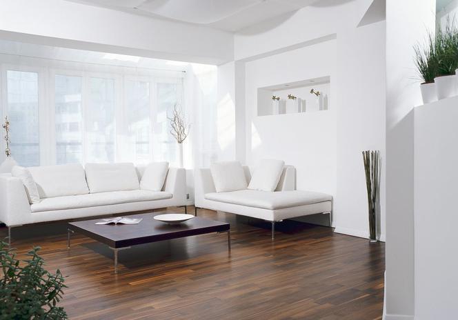 Biała sofa w salonie - nowoczesne wnętrza. Galeria