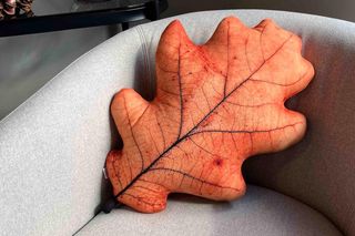 Najpiękniejsze jesienne poduszki. Oferta 2025 - obok tych wzorów nie da się przejść obojętnie