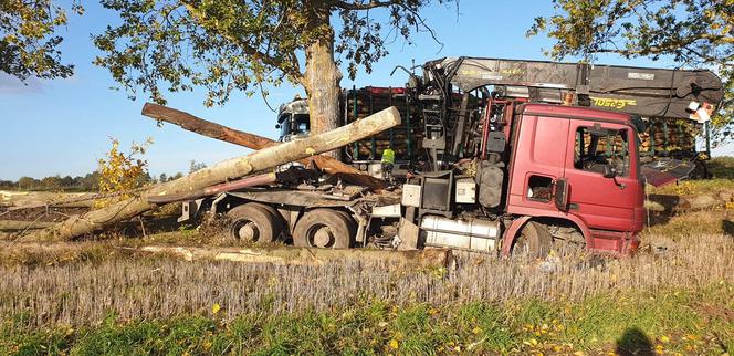 Olbrzymie kłody zablokowały drogę wojewódzką 163