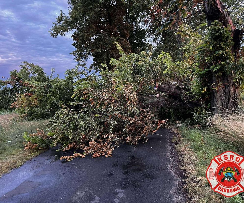 Potężna burza przeszła przez Bydgoszcz i region. Ponad 400 interwencji strażaków!