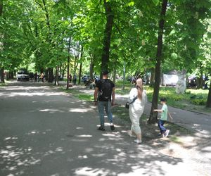 Kielce. Święto Konstytucji 3 Maja (2025)