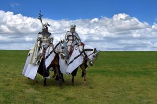 Bitwa pod Grunwaldem. Mity i propaganda