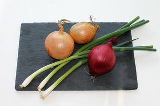 Odmiany cebuli: czym się różnią cebula czosnkowa, cukrowa, czerwona i szalotka? [WIDEO]