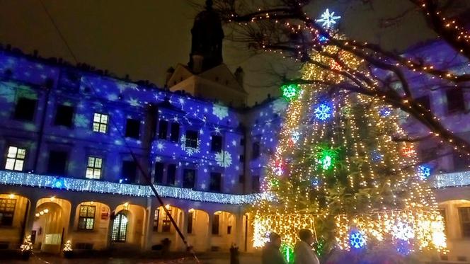 Iluminacje bożonarodzeniowe w Szczecinie