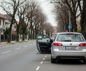 Atak psów w Bogatyni. Kto uratował chłopca przed agresywnymi zwierzętami?