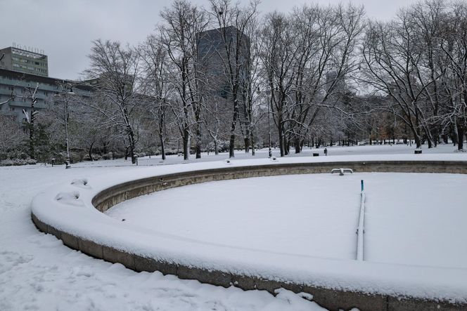 Śnieżny armagedon w Warszawie. Pierwszy atak zimy sparaliżował stolicę. Ogłoszono akcję ALFA