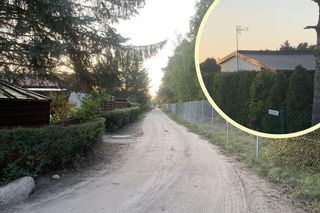 Ceny działek ROD w 2025 zaskakują. Porównujemy oferty z Bydgoszczy i okolic. Jest drożej niż kilka lat temu!